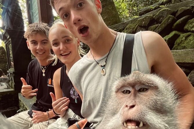 Bali Sightseeing - Price and logistics: what $78 per group really covers