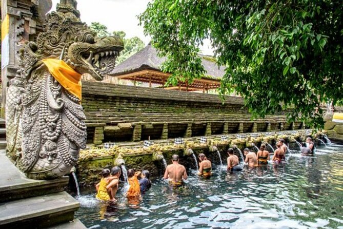 Bali Sightseeing Tour - Traditional village - Waterfall - Tirta Empul Temple: sacred springs and the meaning behind purification