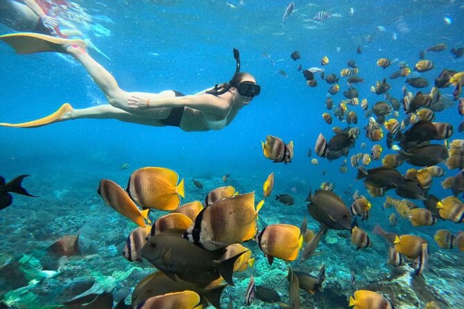 Bali Snorkeling 2 Spot at Blue Lagoon with Lunch & Transport - Key highlights you’ll care about