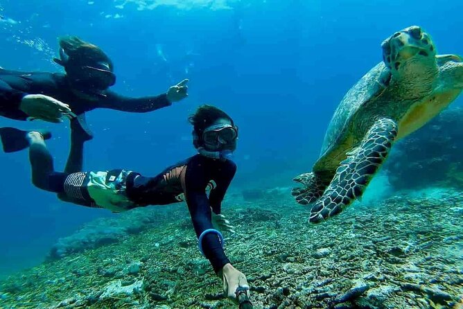 Bali Snorkeling 2 Spot at Blue Lagoon with Lunch & Transport - The road trip plan: Kuta, Denpasar, and arriving in Padangbai