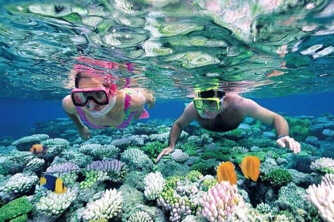 Bali Snorkeling at Blue Lagoon and Tanjung Jepun with Transfer - Padangbai Pickup From Ubud: a smooth start even with Bali traffic