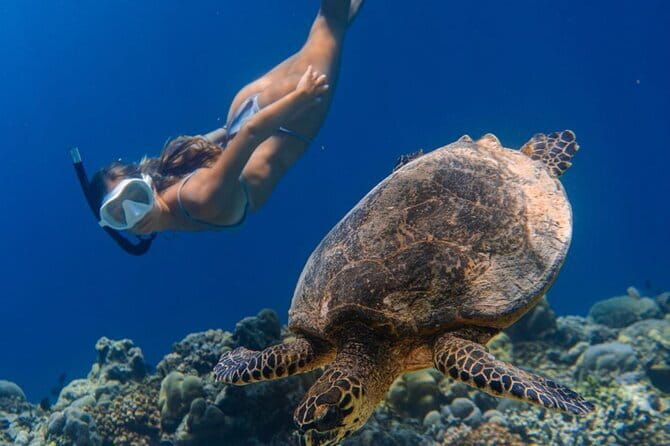 Bali Snorkeling at Blue Lagoon and Tanjung Jepun with Transfer - Boat timing and the two-location format: where the 6 hours goes