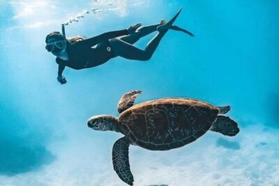 Bali Snorkeling at Blue Lagoon and Tanjung Jepun with Transfer - Tanjung Jepun: your second reef stop and a chance for different sea life