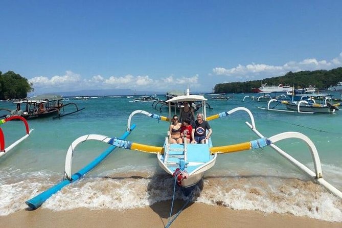 Bali Snorkeling at Blue Lagoon with Transport and Lunch - What you’ll see underwater: fish, coral, and the turtle possibility