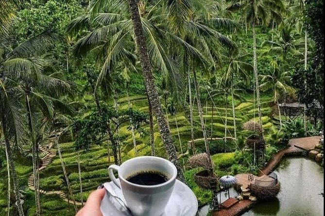Bali Snorkeling Blue Lagoon with lunch &Optional waterfall Visit - From Seminyak Pickup to Padang Bai: How the Timing Fits Together