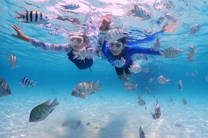 Bali Snorkeling Blue Lagoon with lunch &Optional waterfall Visit - Lunch at 2:00 PM: The Break That Makes the Rest of the Day Enjoyable