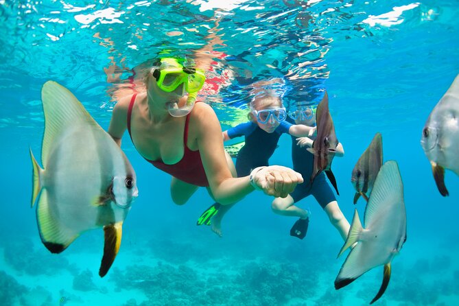 Bali Snorkeling Tour At Blue Lagoon with Gate of Heaven Temple - From Ubud to Lempuyang: getting to the Gate of Heaven viewpoint