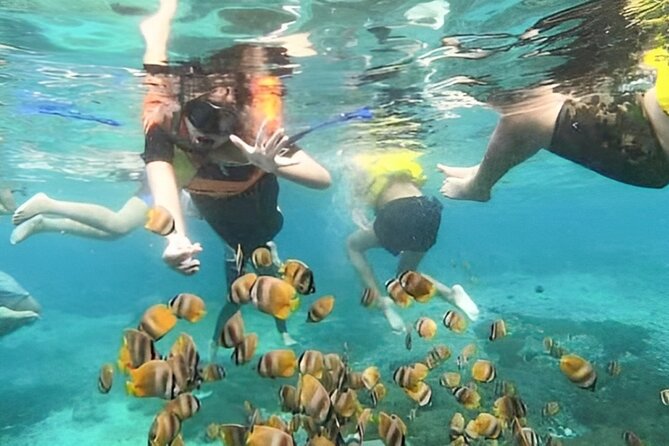 Bali Snorkeling Tour At Blue Lagoon with Gate of Heaven Temple - Tanjung Jepun snorkeling: where the day turns from photos to fish-spotting