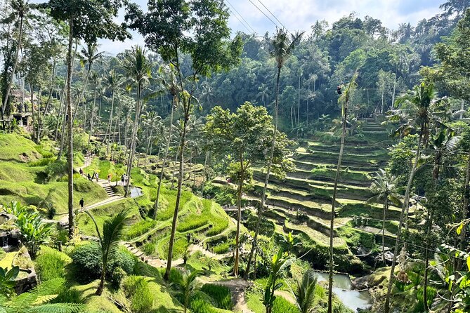 Bali Spiritual: Balinese Healing, Temple & Rice Terrace - Coffee plantation break: a calm palate reset