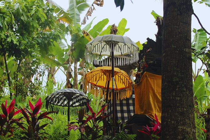 Bali Spiritual: Blessing Ceremony, Pristine Nature and Transfer - Key things that make this tour worth your time