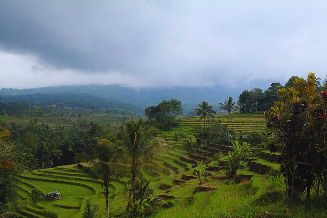 Bali Spiritual: Blessing Ceremony, Pristine Nature and Transfer - Balikaru garden, Rindik practice, and the Trigona honey moment