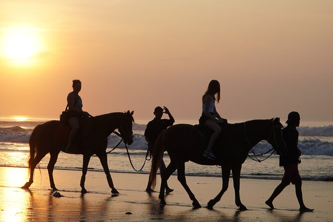 Bali Sunrise Horse Riding and Tour - Key Things I’d Focus On Before You Go