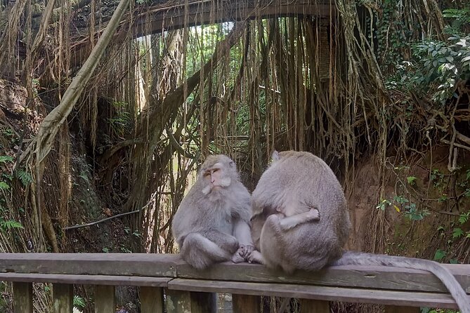 Bali Sunrise Horse Riding and Tour - Coffee and Tea Finish: A Calmer End to a Fast Morning