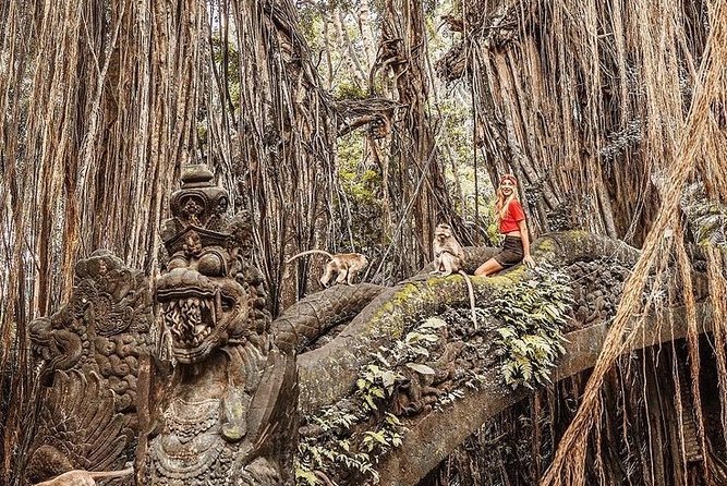 Bali Sunset: Uluwatu Temple - Kecak Dance- Jimbaran Bay - Price and Value: What $35 Really Covers