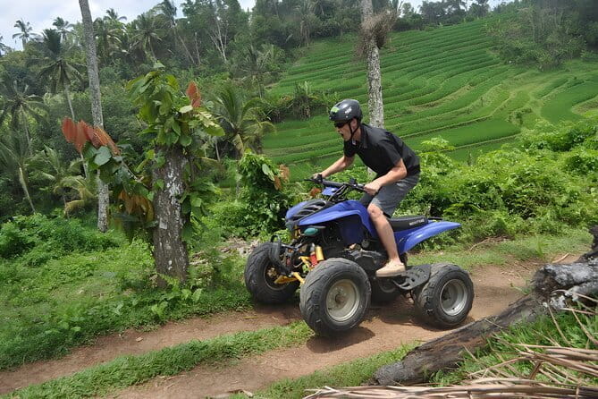 Bali Swing and Quad Bike Packages - Ubud Best Activities - Why this combo works so well in one long Bali day