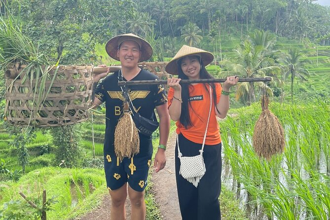 Bali Swing Hot Spring And Waterfall Private Guided Tour - Tegalalang rice terraces and the Subak irrigation explanation