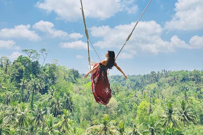 Bali Swing, Monkey Forest and Waterfall Private Tour - Key highlights