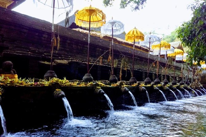 Bali Swing Ubud Private Day Tour - Market, silver crafts, and a holy spring temple: extras your guide can weave in