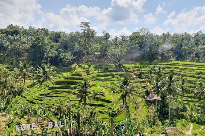 Bali Swing Ubud Private Day Tour - Sacred Monkey Forest Sanctuary: a walk through 12 hectares