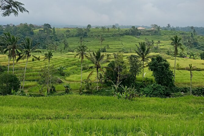 Bali Tanah Lot, Ulun Danu Beratan & Jatiluwih Rice Terrace - Why Jatiluwih, Ulun Danu Beratan, and Tanah Lot fit together