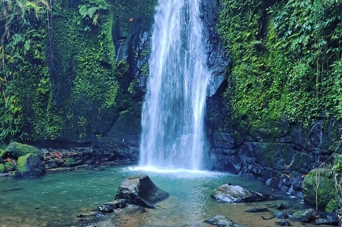 Bali Tirta Empul Tours Experience with Spiritual Cleansing - Price and value: is $57 per person a smart deal?
