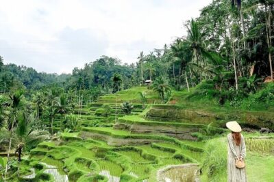 Bali Tour : Best Attractions in Ubud with Rice Terrace - Elephant Cave and Temple Grounds: A Quiet Pause in the Middle