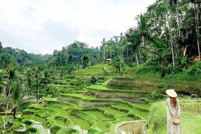 Bali Tour : Best Attractions in Ubud with Rice Terrace - Elephant Cave and Temple Grounds: A Quiet Pause in the Middle