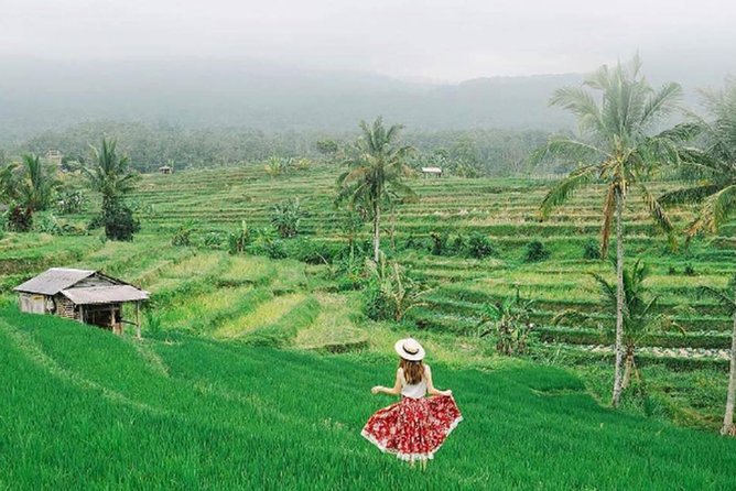Bali Tour Package 9 Days 8 Nights - Day 2: Waterfalls, Mount Batur Views, and Tegalalang Swing Time