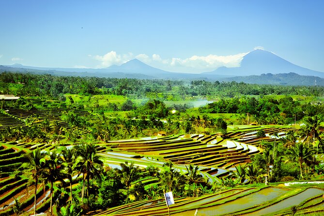Bali Tour: The Best Way to Explore The Highlight of Bali - Ulun Danu Bratan Temple: Lakeside Temple Views at Lake Beratan