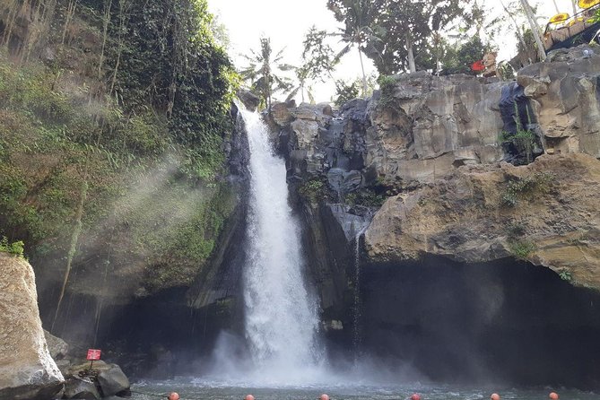 Bali Tour: Ubud Most Popular Place - Key highlights at a glance