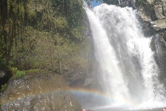 Bali Tour: Ubud Most Popular Place - The Ubud “Most Popular” route that actually makes sense