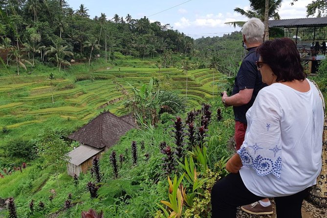 Bali Tour: Ubud Most Popular Place - Stop 2: Sacred Monkey Forest Sanctuary and monkey etiquette