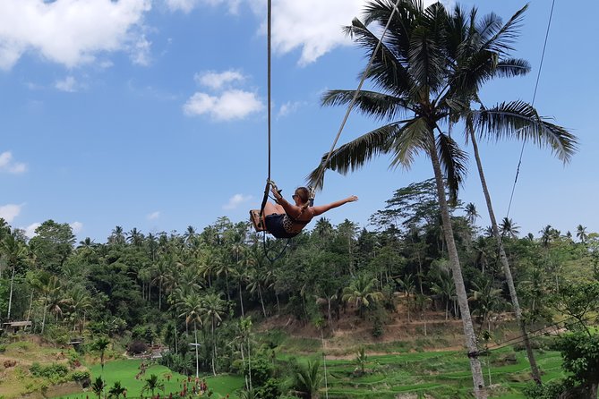 Bali Tour: Ubud Most Popular Place - Stop 4: Tirta Empul Holy Water Temple and the purification idea