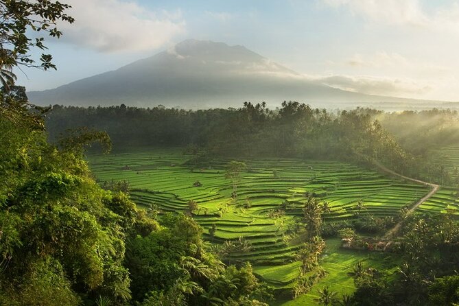 Bali Traditional Silver Class - Making Simple Jewelry Experience - Pickup Fees by Area: The One Detail to Check Before You Go