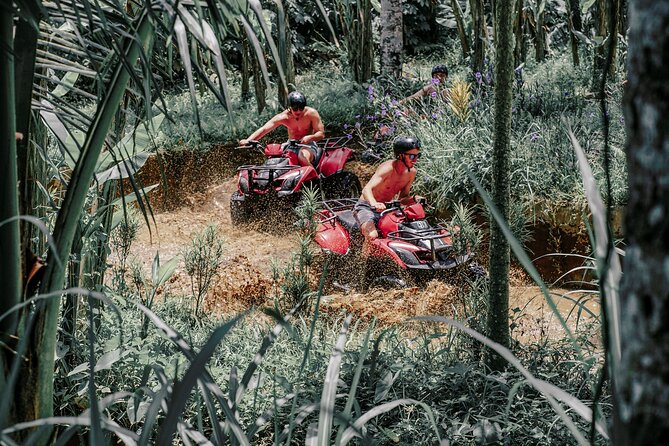 Bali Tunnel ATV Adventure - Ubud Pickup and the Alasan Adventures Meeting Point (What to Expect)