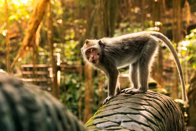 Bali Ubud and Volcano Day Tours - Stop 2: Tirta Empul Temple and its purification spring