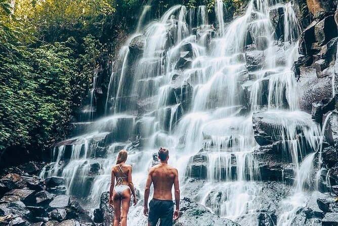 Bali: Ubud Highlights Tour with Private Guide and Transfers - Sacred Monkey Forest Sanctuary: Your First Hour in Ubud Nature
