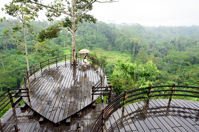 Bali Ubud & Kintamani Volcano Tour -All Inclusive - Tegallalang rice terraces: lunch with views, plus a second look