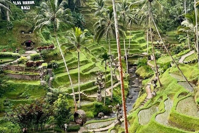Bali Ubud Private Costomized Tour - Explore Bali your way - Rice Terraces and Batuan Temple: Starting With Big Views and Deeper Meaning