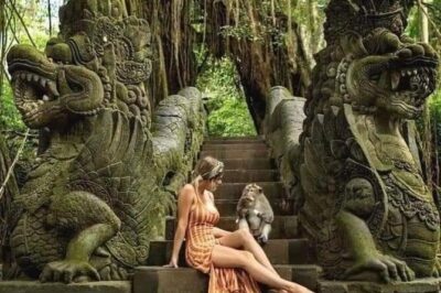 Bali Ubud Private Costomized Tour - Explore Bali your way - Price, What You Get, and What You Still Need to Budget