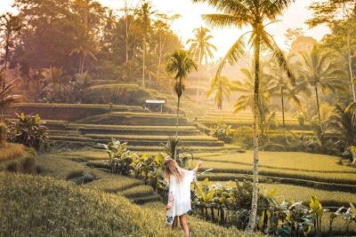 Bali Ubud private Tour with Ubud Bali Driver - FREE WIFI - Stop 1: Sacred Monkey Forest Sanctuary in about an hour