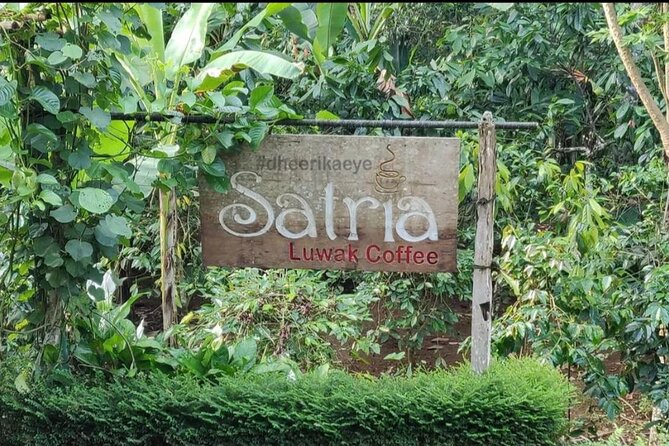 Bali Ubud private Tour with Ubud Bali Driver - FREE WIFI - Craft workshops in Ubud plus the Real Bali Swing stop