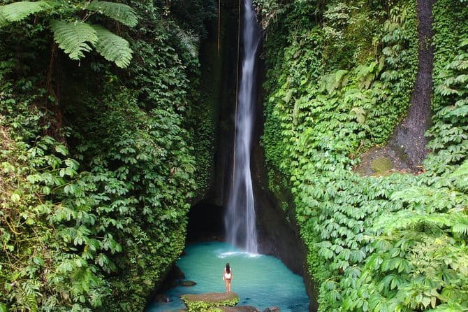 Bali: Ubud (Temple, Spring, Rice Terraces, & Waterfall) - Optional side stops: shape the day around your interests