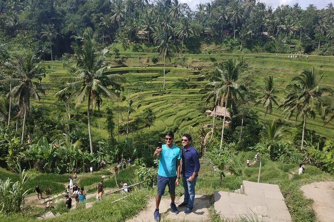 Bali Ubud Tour - Stop 3: Tegalalang Rice Terraces and the SUBAK irrigation story