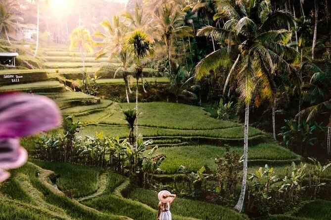 Bali Ubud Tour: Monkey Forest, Waterfall & Rice Terrace - Sacred Monkey Forest Sanctuary: shaded paths and real wildlife energy