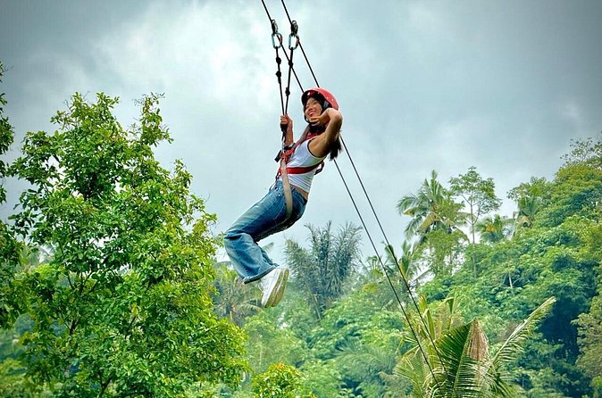 Bali Ubud Zipline, Monkey Forest and Waterfall Adventure - Price and value: what $27.36 usually means here