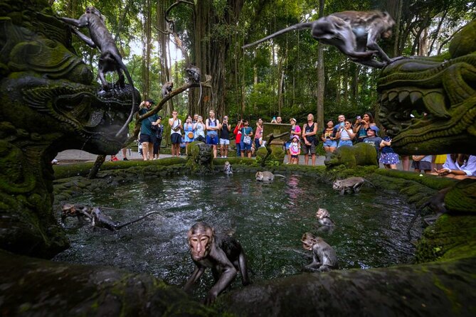 Bali Ubud Zipline, Monkey Forest and Waterfall Adventure - What to bring for a zipline-and-waterfall day