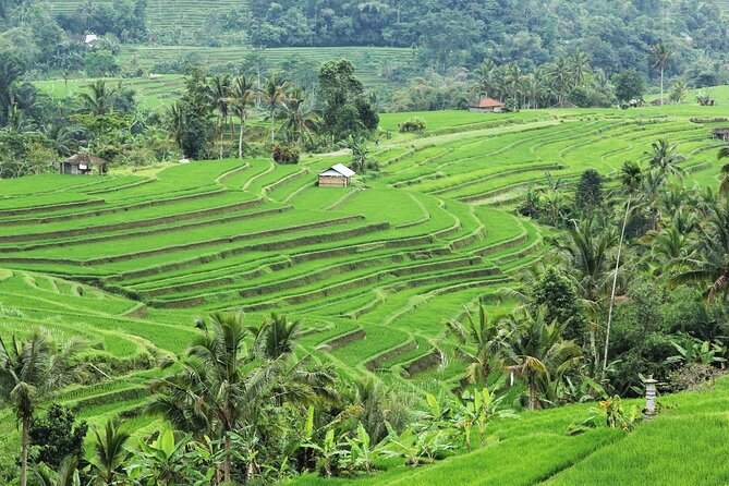 Bali UNESCO Sites: Water Temples and Jatiluwih Rice Terrace Tour - Tanah Lot sunset: the payoff, perched over rock and sea