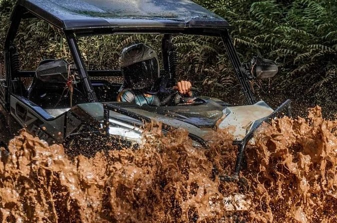 Bali UTV-BUGGY Wild Drive With Lunch at Cretya Sunset - Who this tour is best for (and who should think twice)