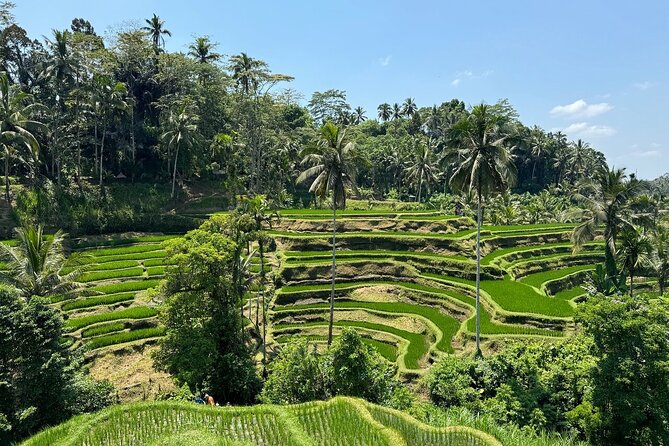 Bali Volcano & Ubud Day Tour – Temples, Rice Terraces & Lunch - Hotel pickup and the drive: what to expect before you arrive anywhere